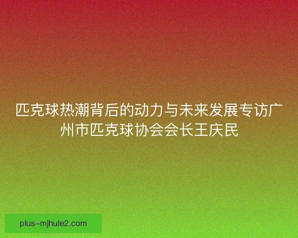匹克球热潮背后的动力与未来发展专访广州市匹克球协会会长王庆民